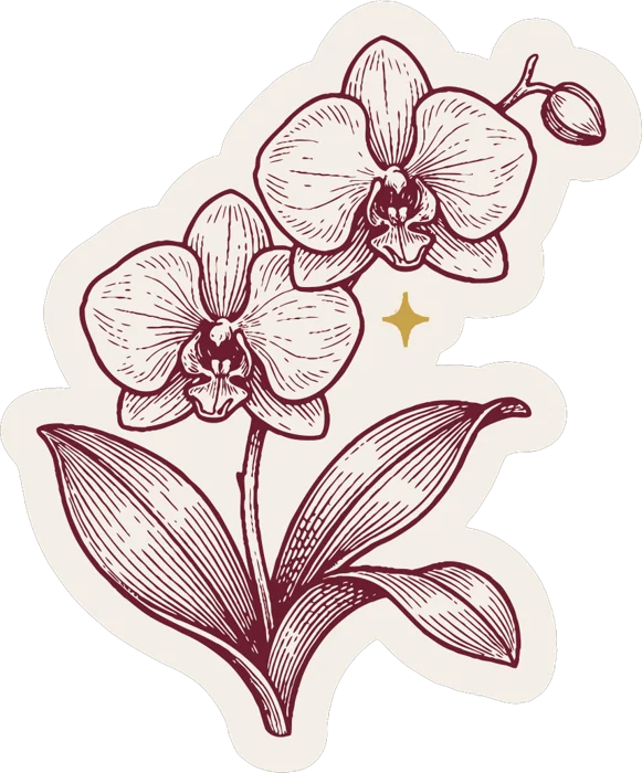 Adesivo orquídea